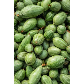 Cucumber  (11)-4628680-6380.webp